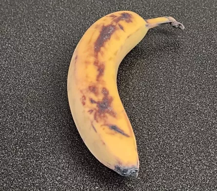 3D Printed Banana Using Stratasys Agilus 30 Material