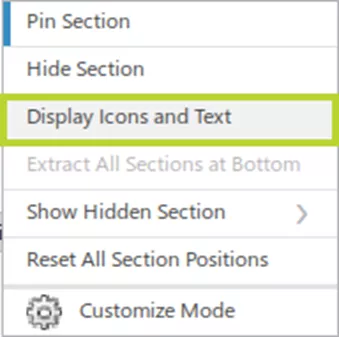 Display Icons and Text Option in 3DEXPERIENCE FMK Role