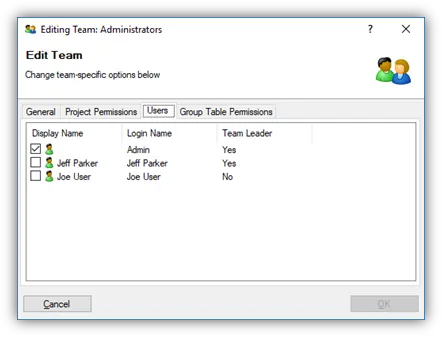 DriveWorks Pro Editing Team Users tab