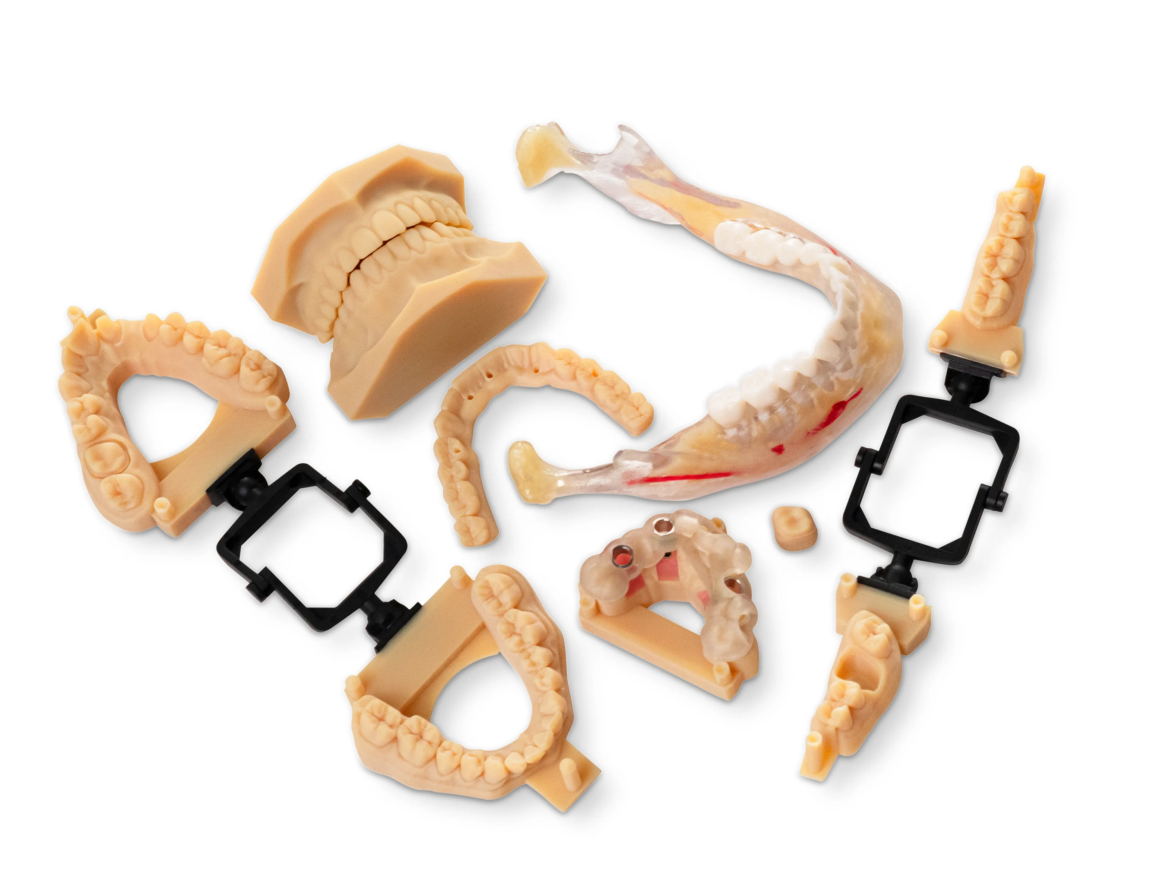 3D Printed Dental Model on the Stratasys J5 DentaJet available from GoEngineer