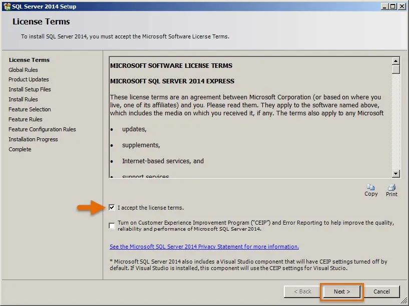 SQL Express 2014 Terms
