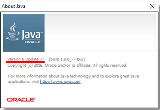 About Java Version Information