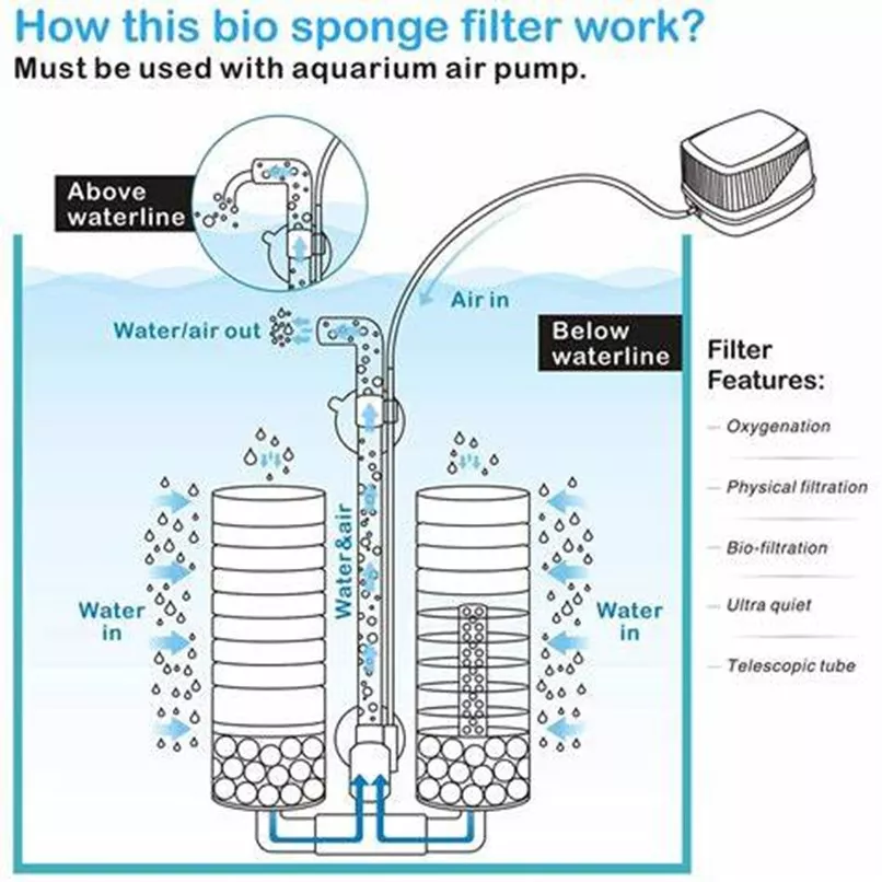 How a Dual-Sponge Aquarium Filter Works