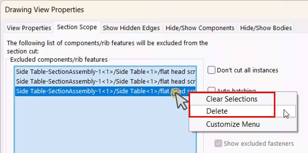 Clear Selections SOLIDWORKS Drawing View Properties Section Scope