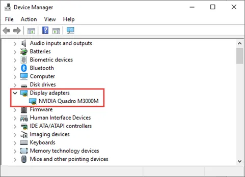 Device Manager Display Adapters