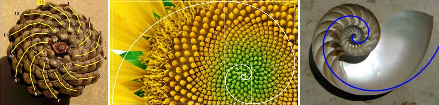 Golden Ration Fibonacci Sequence