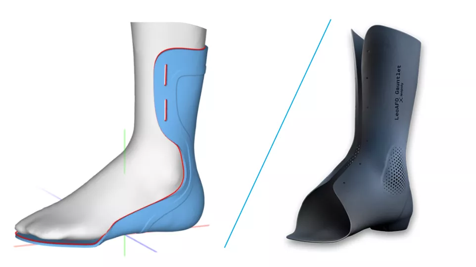 LeoShape Scan-to-Print Compatibility Feature