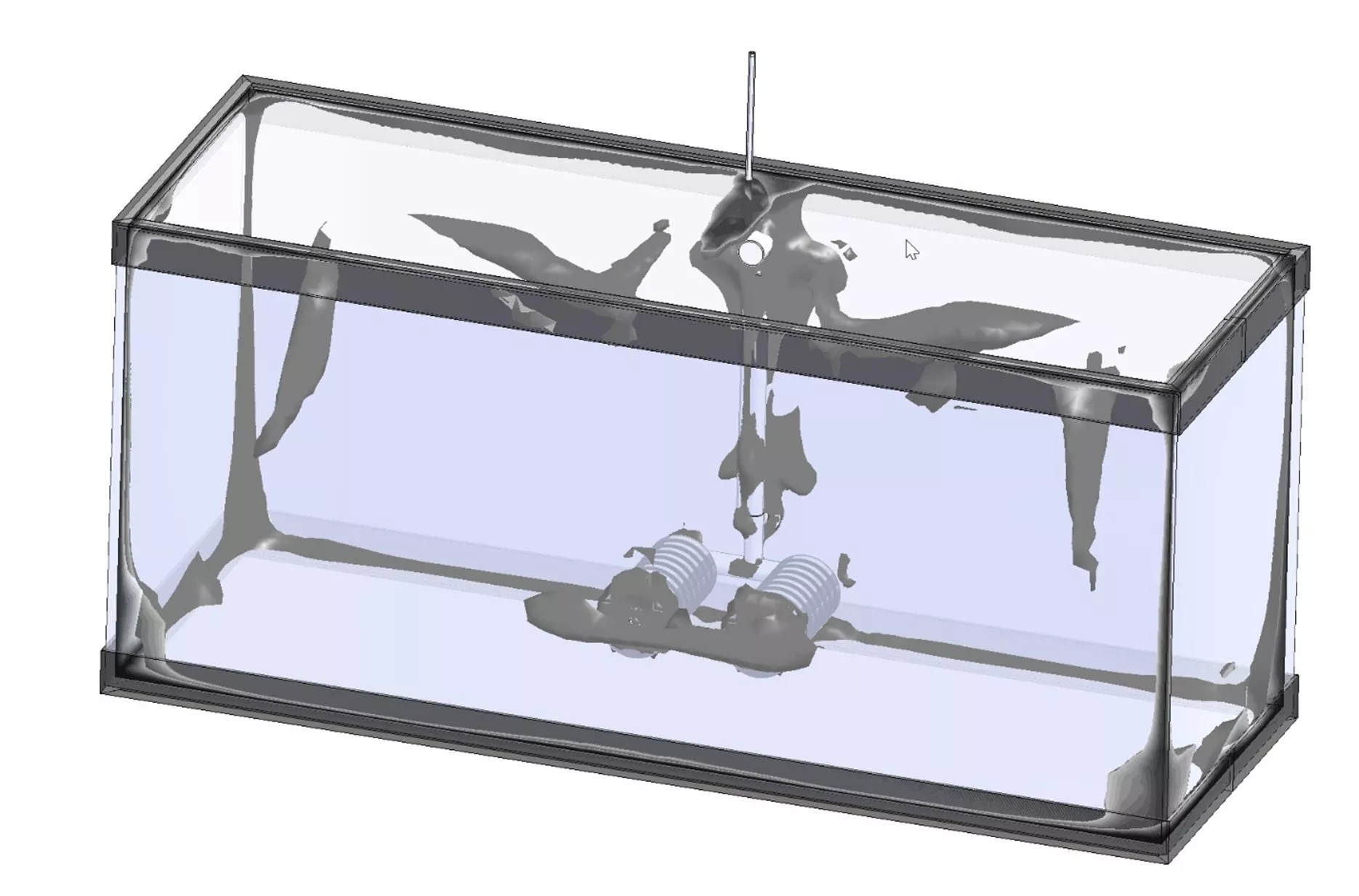 Low Water Flow on a Dual Sponge in SOLIDWORKS Aquarium