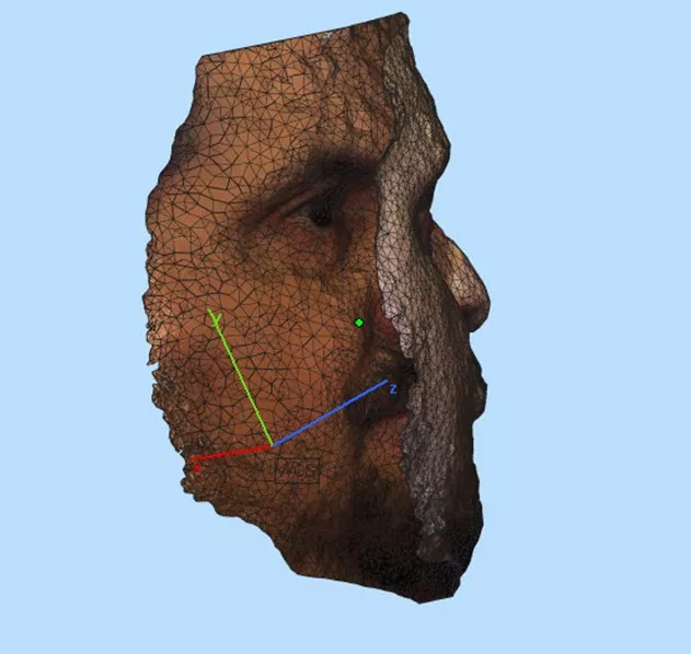 Materialise Magics 3D Model Realistic Face Mask 