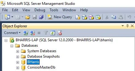 Microsoft SQL Server Management Studio Screen