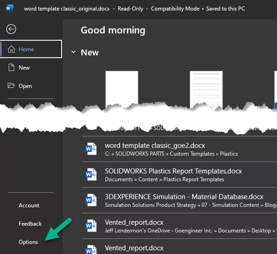 Microsoft Word Options