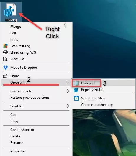 Open Reg File with Notepad