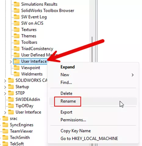 Rename User Interface SWOOD Registry Editor