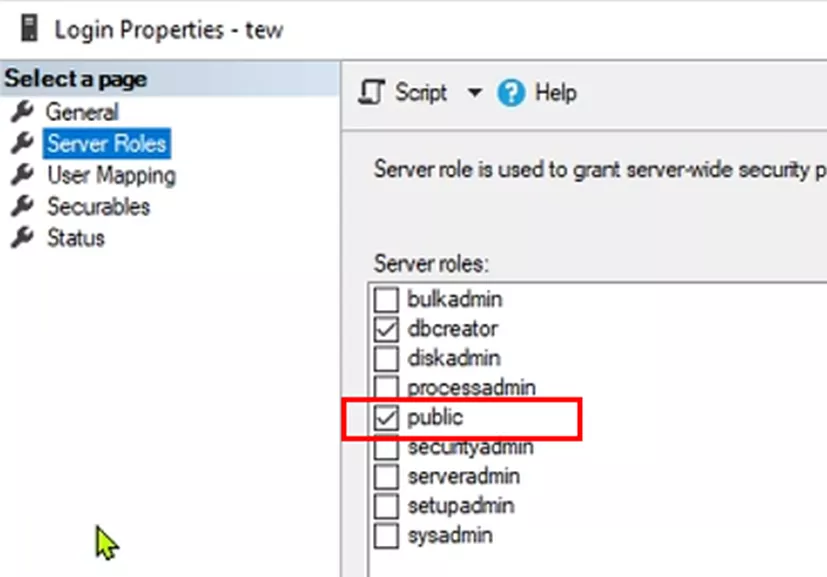 SQL Server Roles Public 