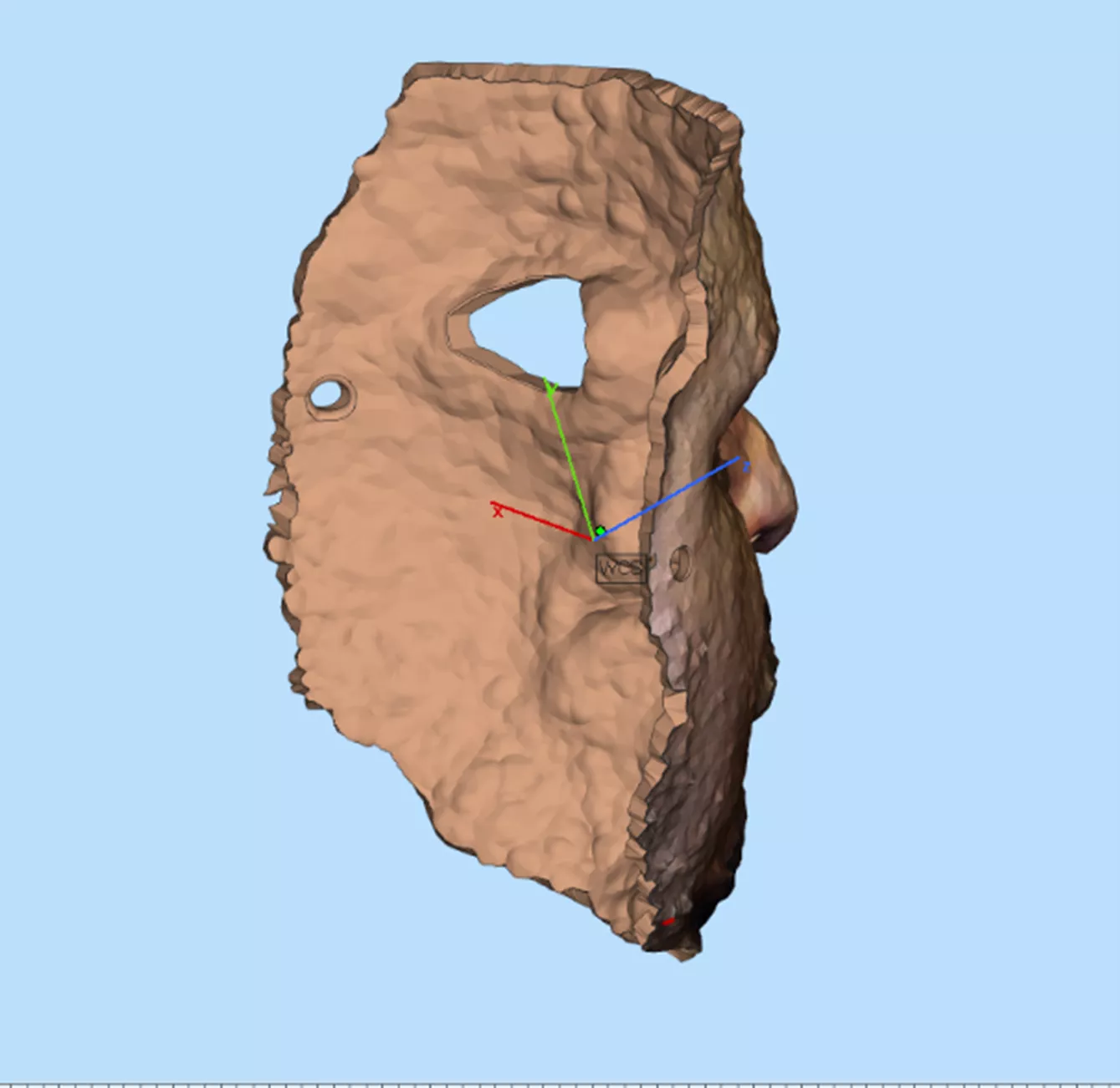 Human Face Solid Model in Materialise Magics 