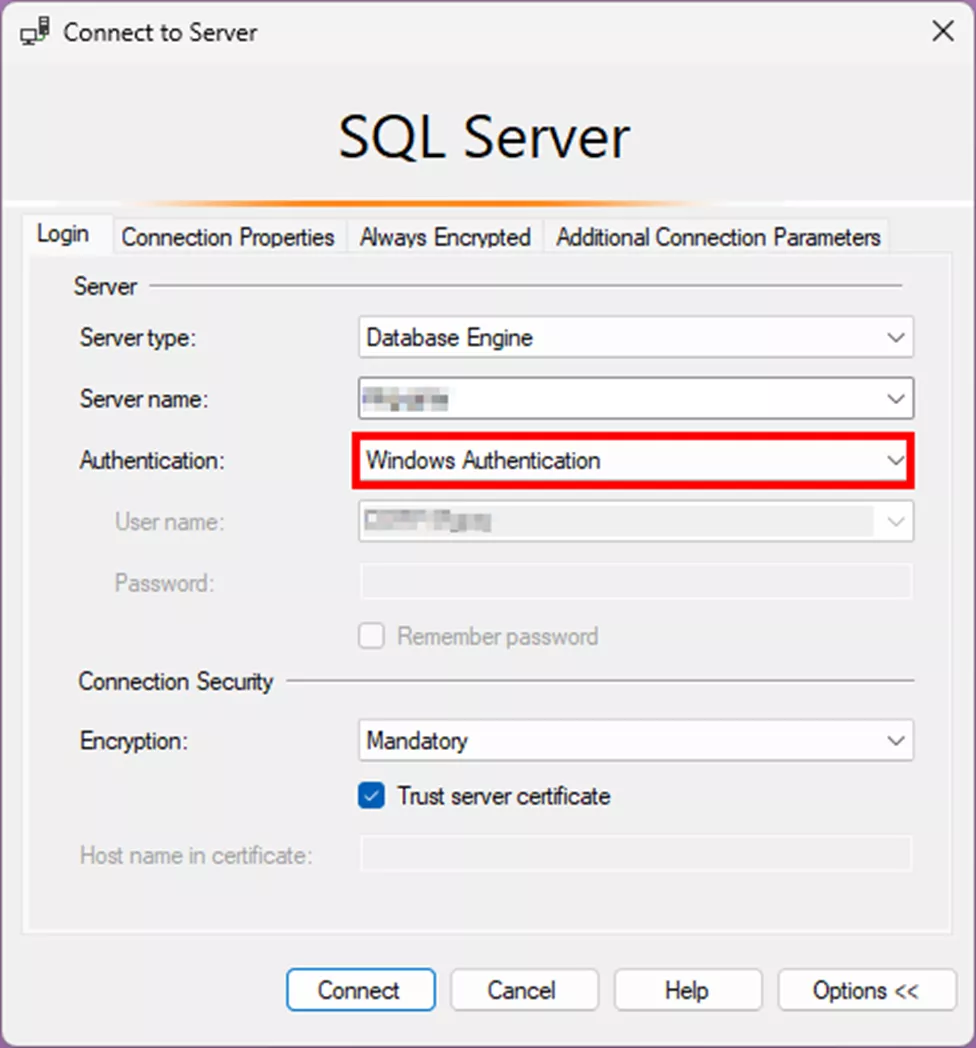 SQL Server Windows Authentication Option