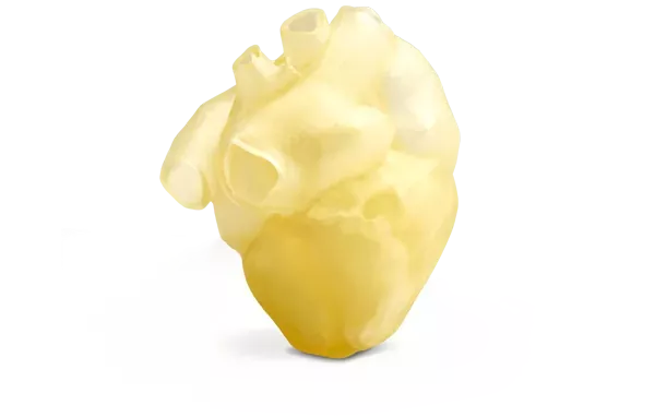 The new TissueMatrix resin material available with the Stratasys J750 Digital Anatomy Printer