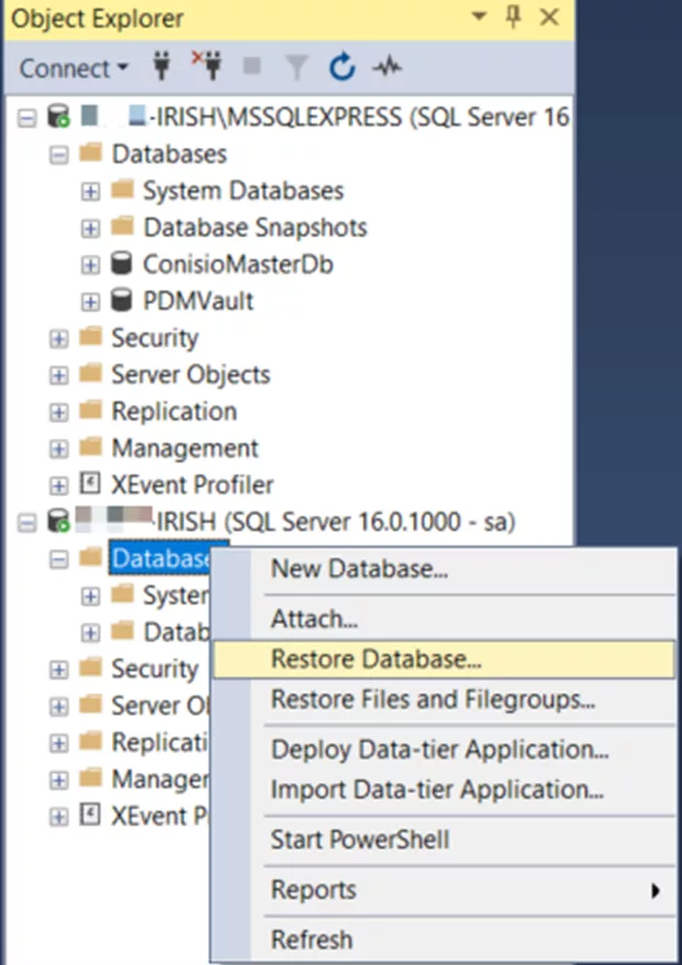 Transfer Your Database from SQL Express Edition to SQL Standard Edition