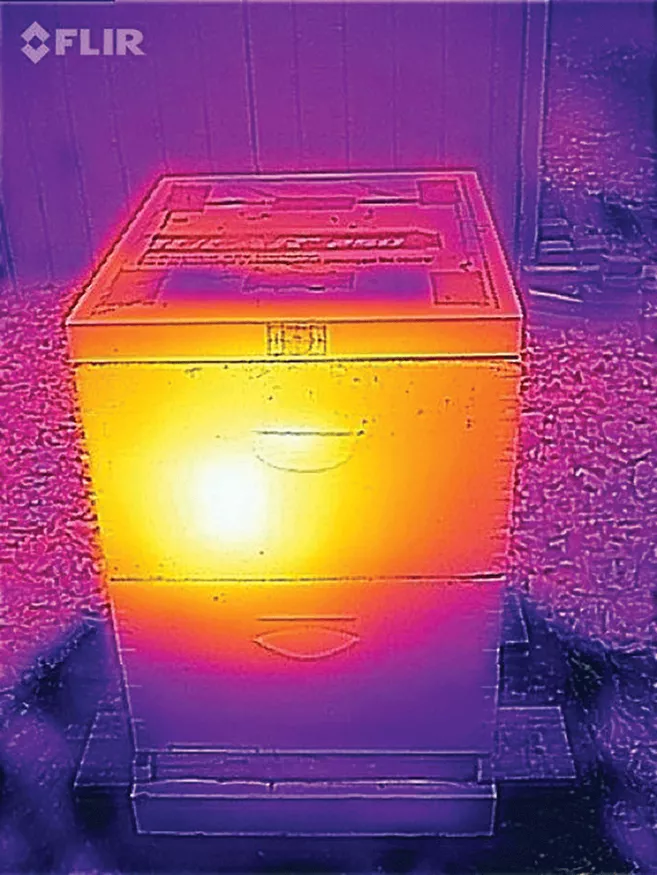 Infrared Image of a Beehive via Beeculture